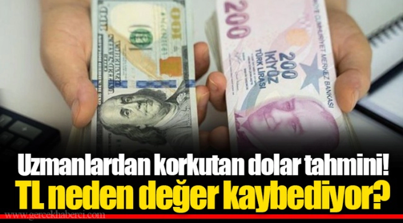 Uzmanlardan korkutan dolar tahmini! TL neden değer kaybediyor?