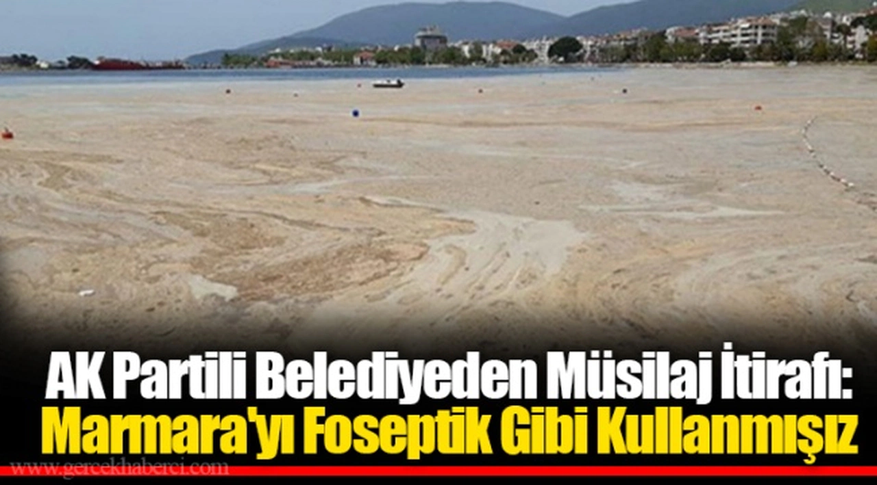 AK Partili Belediyeden Müsilaj İtirafı: Marmara'yı Foseptik Gibi Kullanmışız