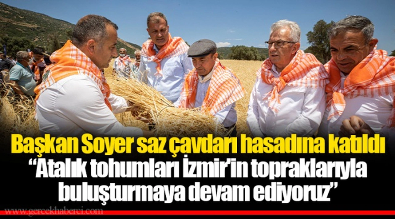 Başkan Soyer saz çavdarı hasadına katıldı