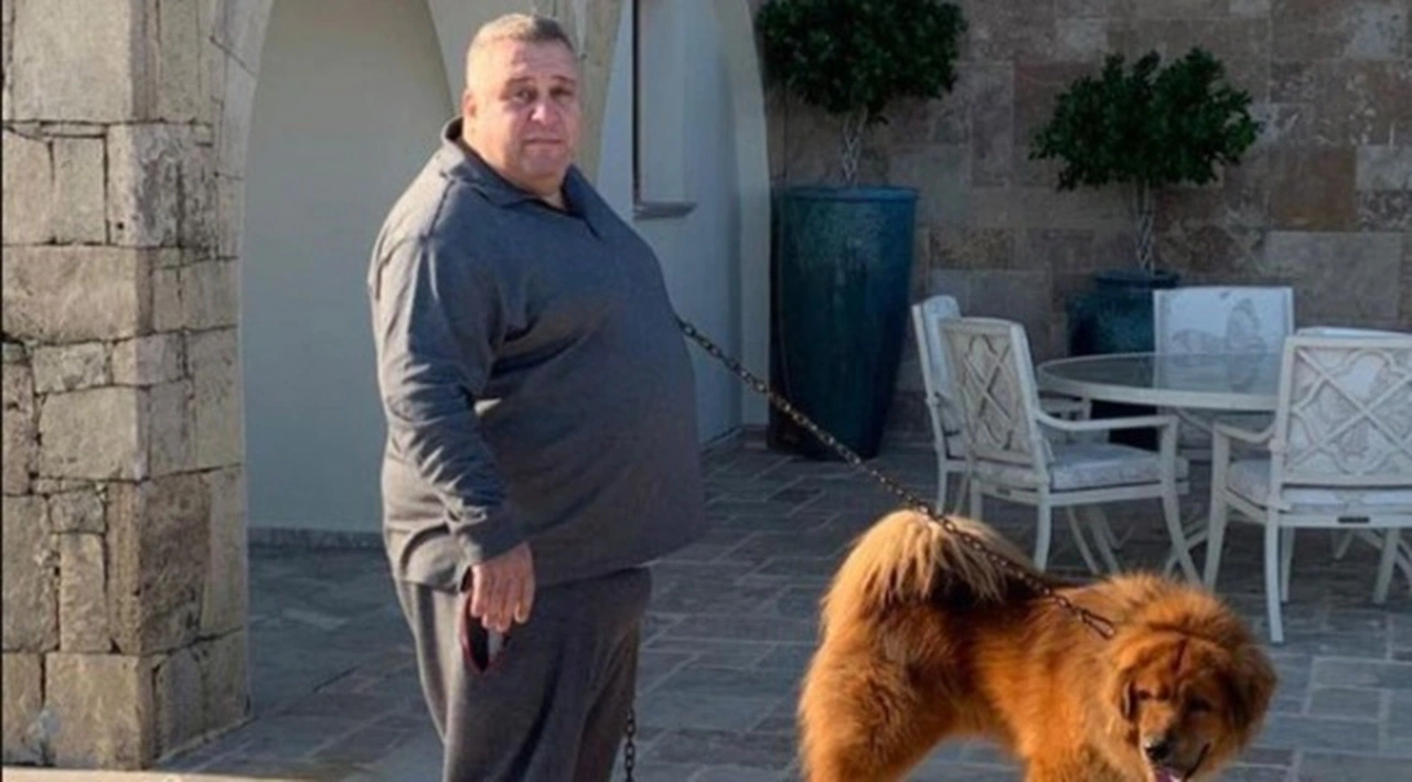 Behçet Töre: Halil Falyalı ile birlikte uyuşturucu ticareti yapıyorduk
