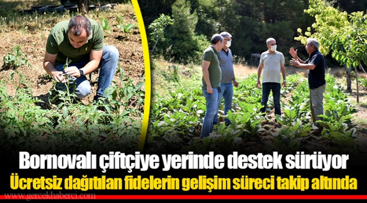Bornovalı çiftçiye yerinde destek sürüyor