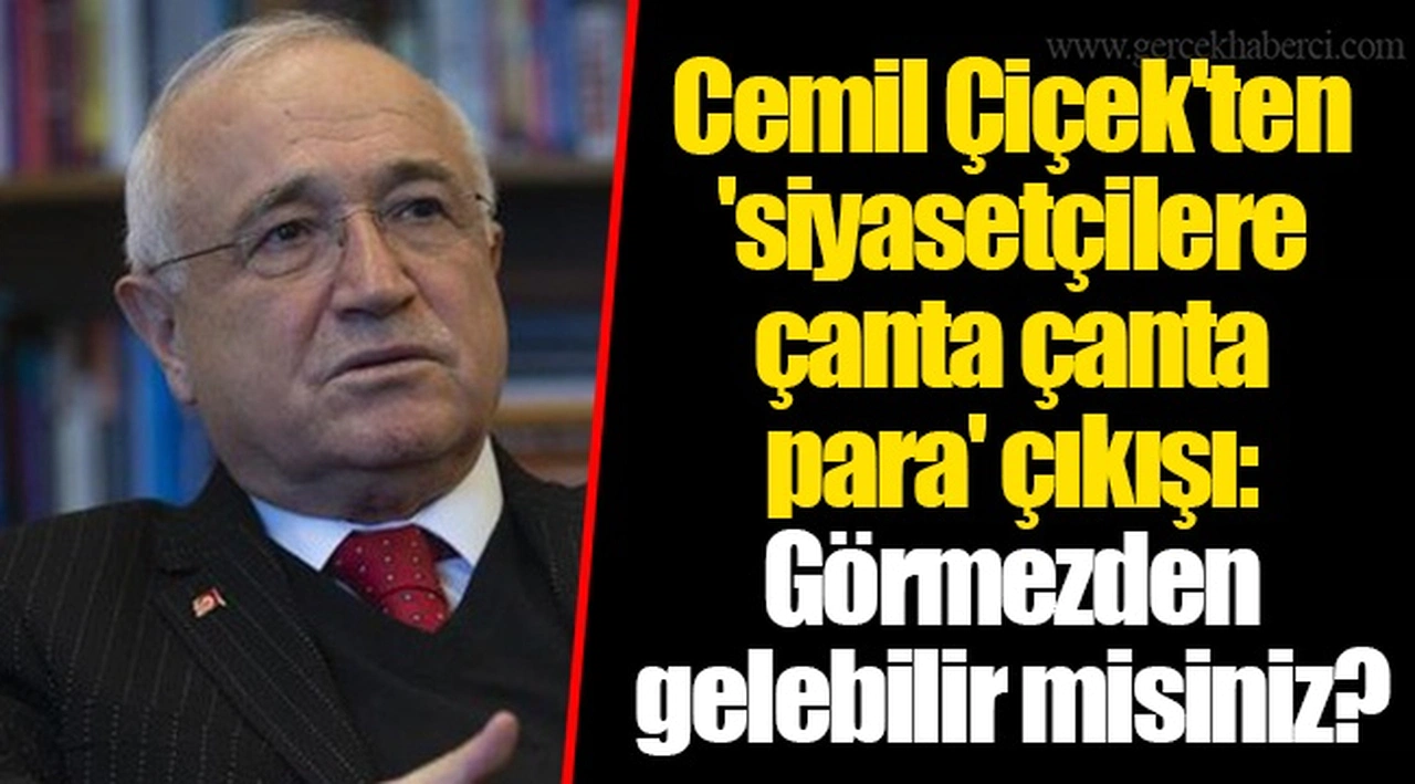 Cemil Çiçek'ten 'siyasetçilere çanta çanta para' çıkışı: Görmezden gelebilir misiniz?