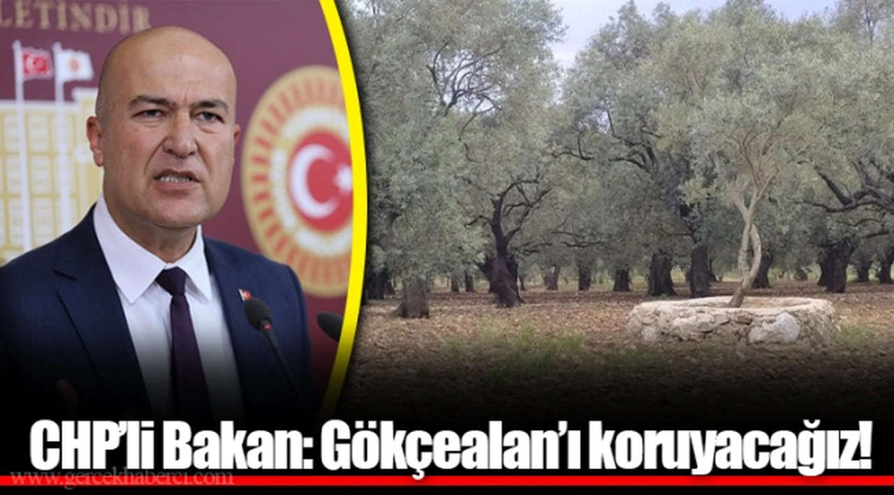 CHP’li Bakan: Gökçealan’ı koruyacağız!