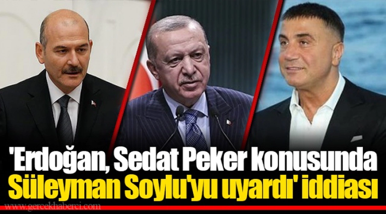 'Erdoğan, Sedat Peker konusunda Süleyman Soylu'yu uyardı' iddiası