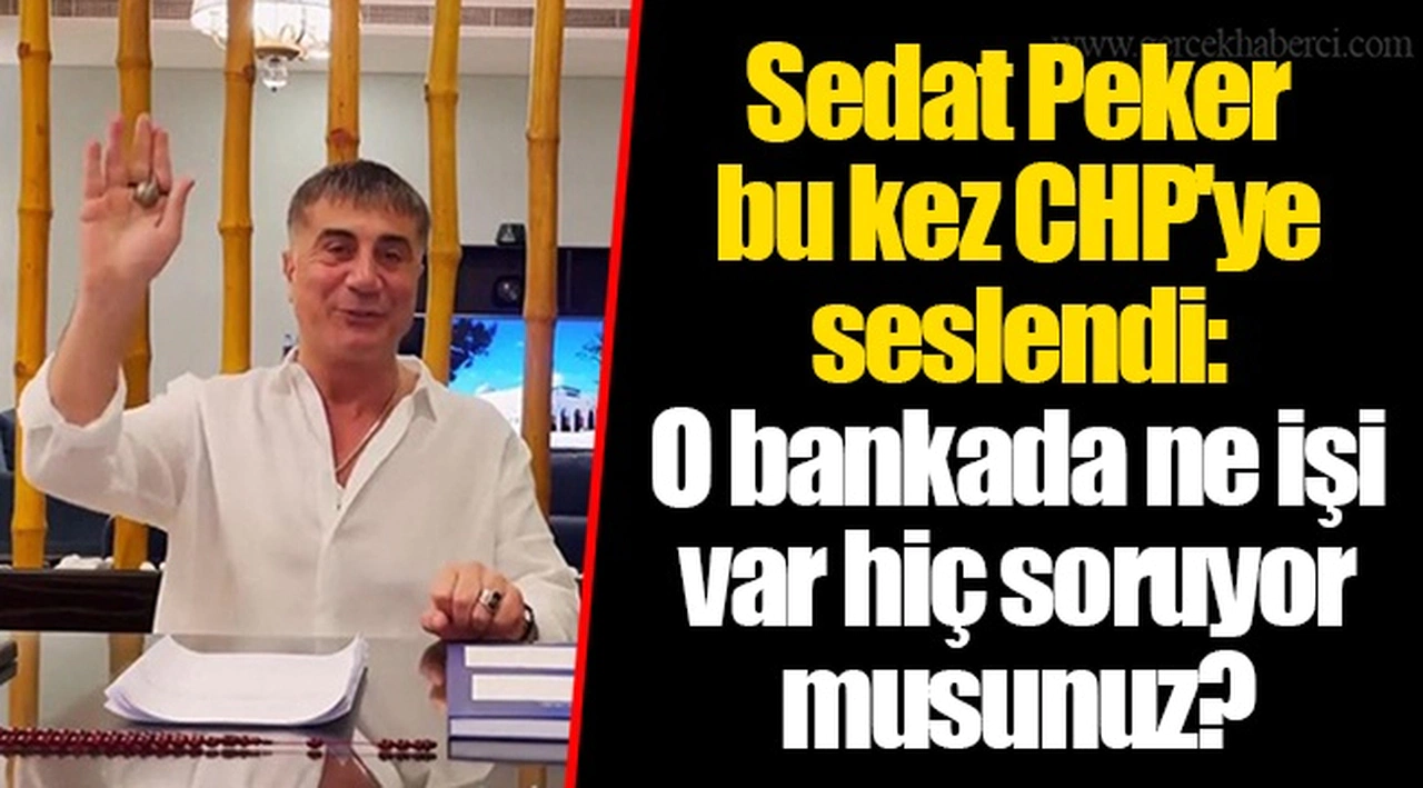 Sedat Peker bu kez CHP'ye seslendi: O bankada ne işi var hiç soruyor musunuz?