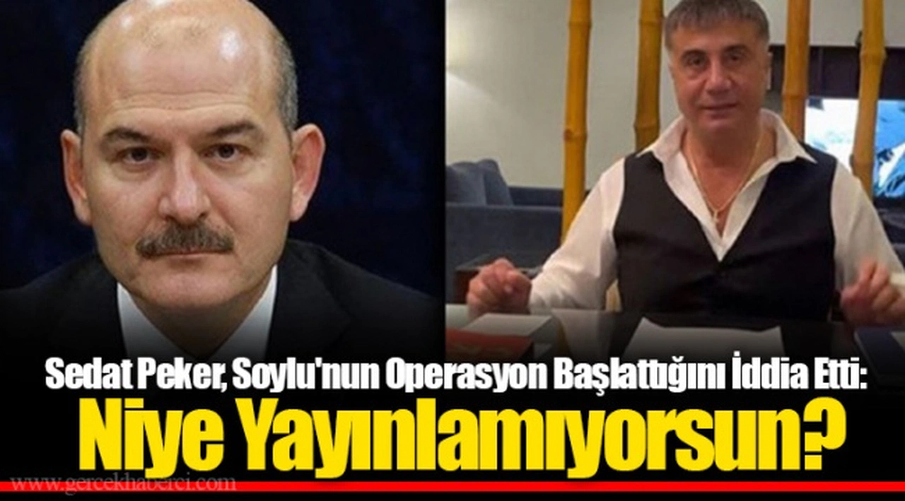 Sedat Peker, Soylu'nun Operasyon Başlattığını İddia Etti: Niye Yayınlamıyorsun?