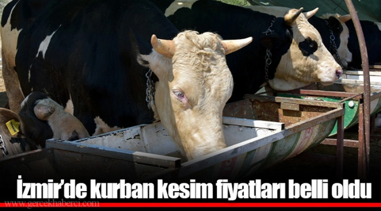 İzmir’de kurban kesim fiyatları belli oldu