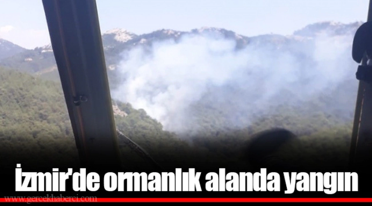 İzmir'de ormanlık alanda yangın