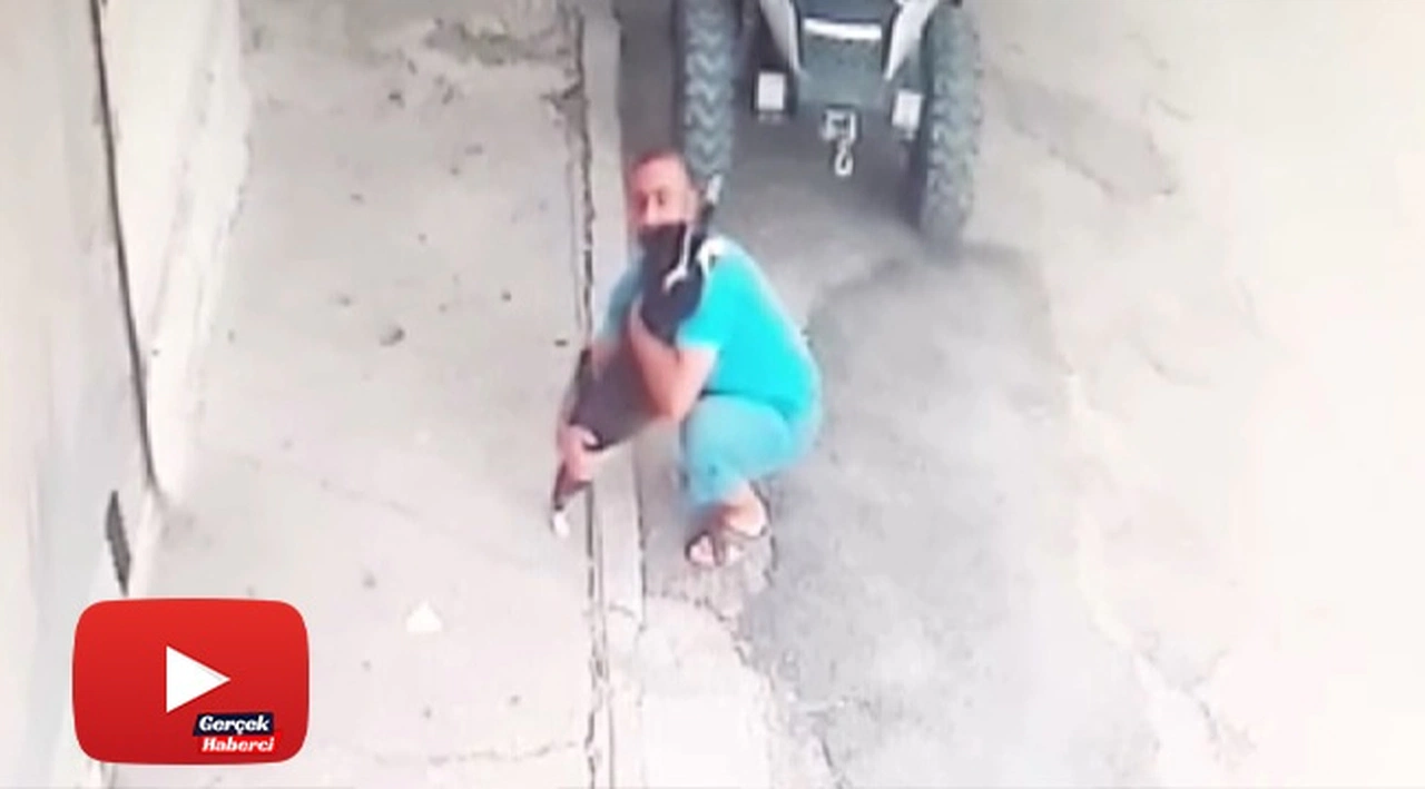 Kedi her sabah sahibini kapıda karşılayarak kucaklıyor