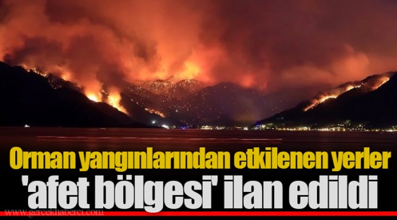 Orman yangınlarından etkilenen yerler 'afet bölgesi' ilan edildi