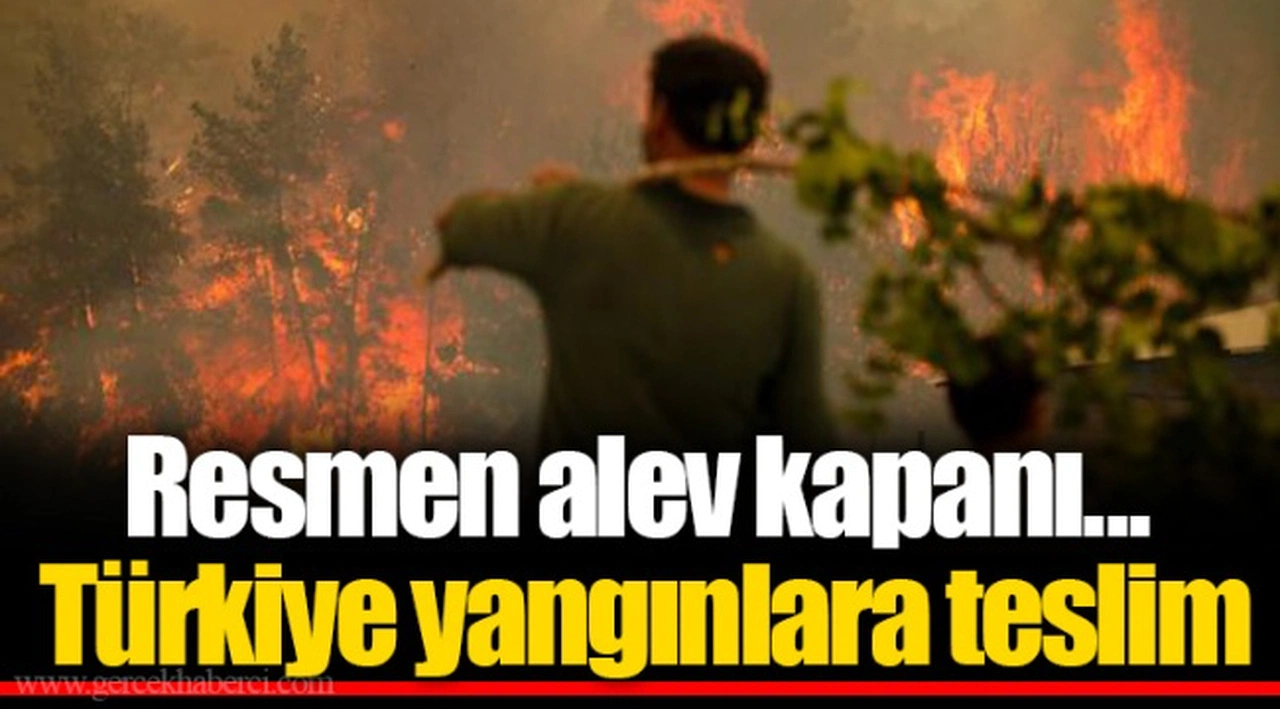 Resmen alev kapanı... Türkiye yangınlara teslim