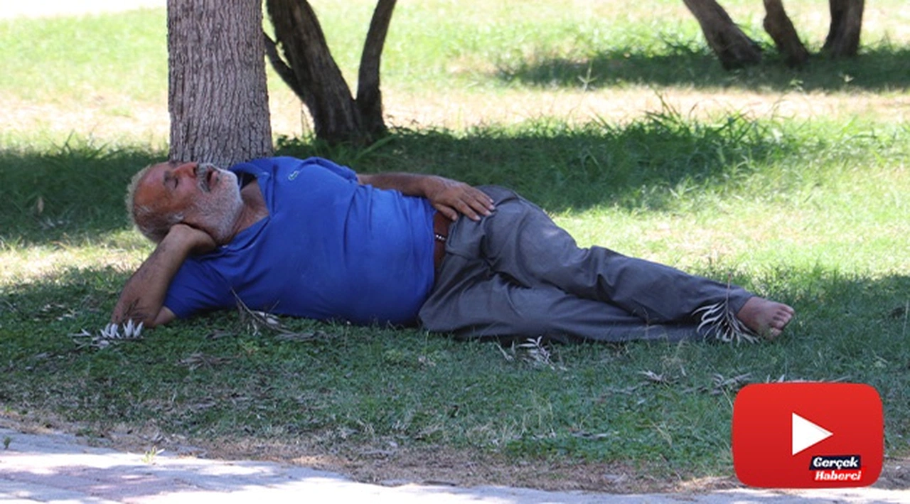 Sıcaktan fenalaşıp gölgede uyudu, vatandaşlar öldü sandı