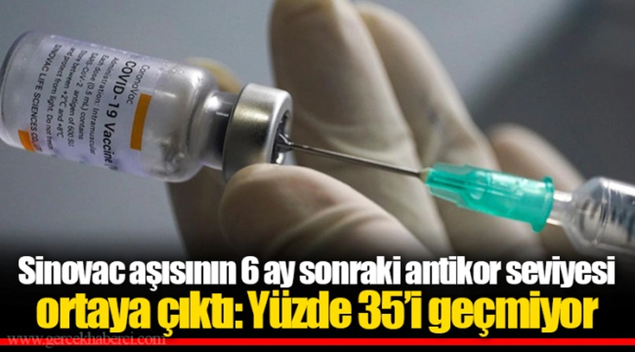 Sinovac aşısının 6 ay sonraki antikor seviyesi ortaya çıktı: Yüzde 35’i geçmiyor