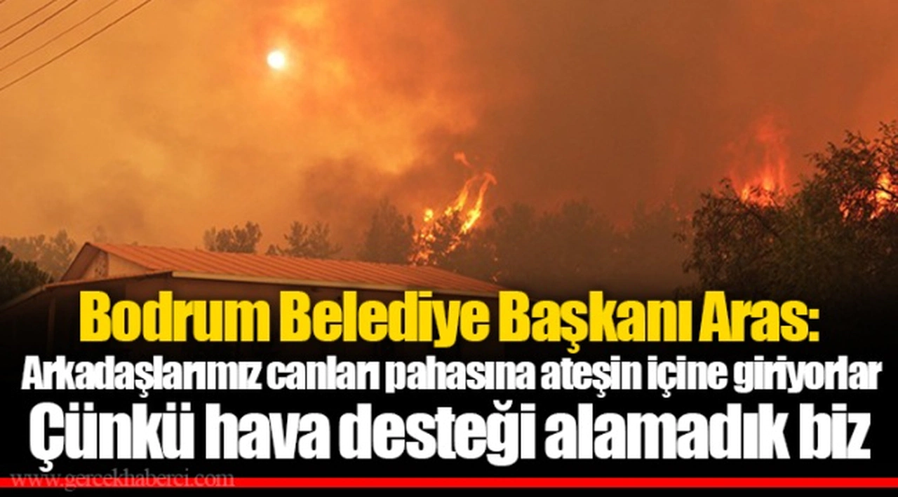Bodrum Belediye Başkanı Aras: Arkadaşlarımız canları pahasına ateşin içine giriyorlar. Çünkü hava desteği alamadık biz