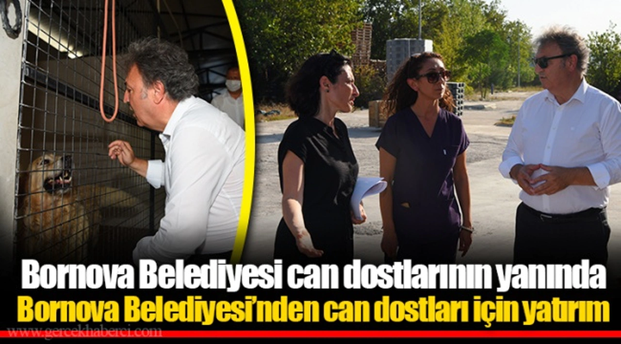 Bornova Belediyesi can dostlarının yanında