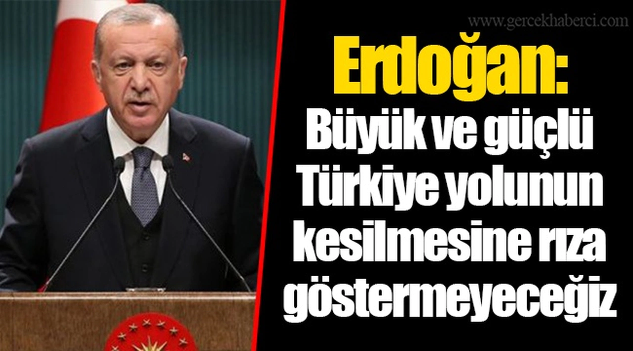 Erdoğan: Büyük ve güçlü Türkiye yolunun kesilmesine rıza göstermeyeceğiz
