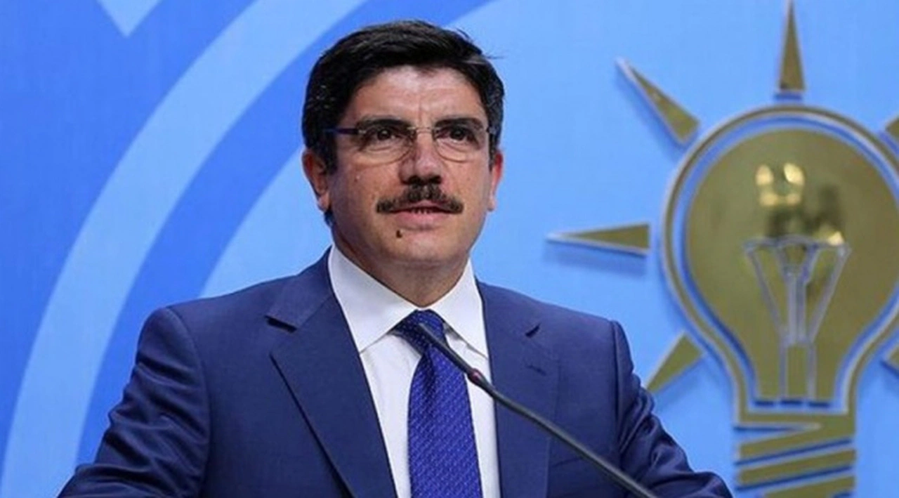 Erdoğan'ın danışmanı Aktay'a göre 'göçmen' sorunu: "Eski gelenlerin son gelenleri kabullenmemesi"