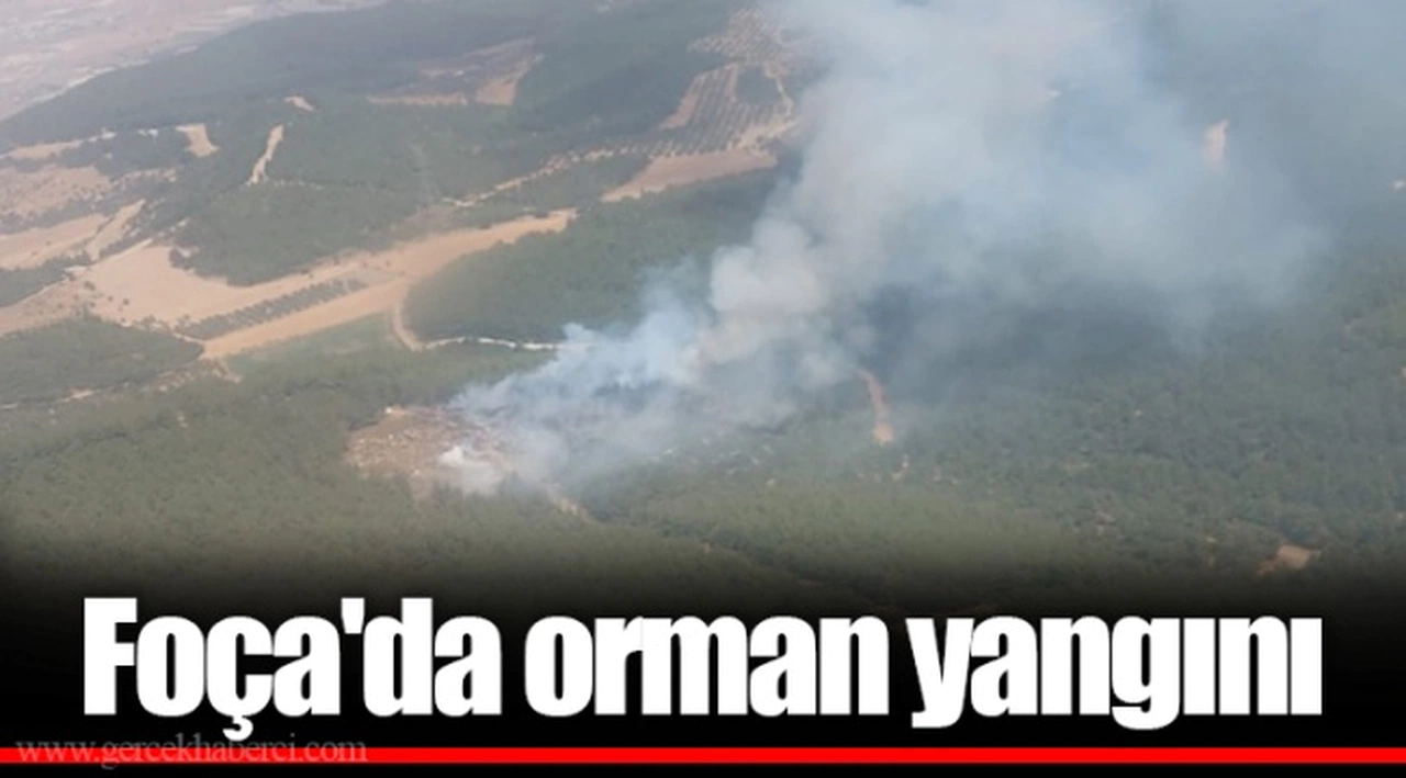 Foça'da orman yangını