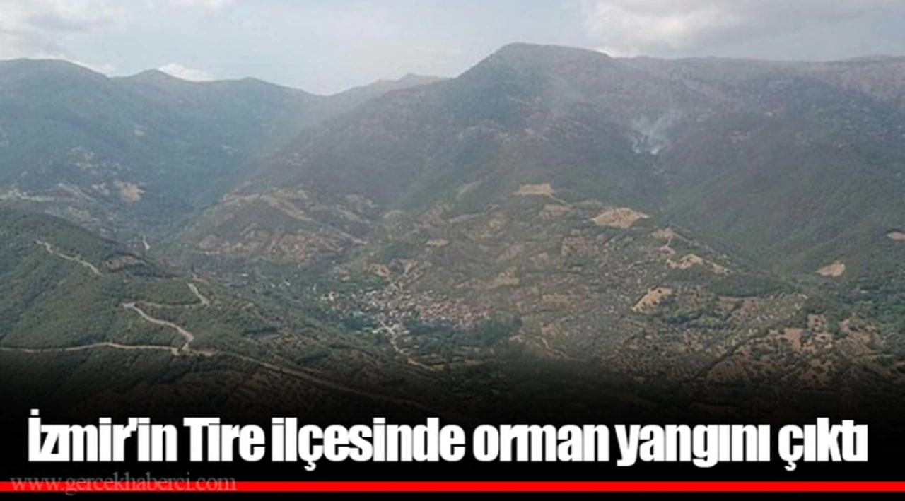 İzmir'in Tire ilçesinde orman yangını çıktı
