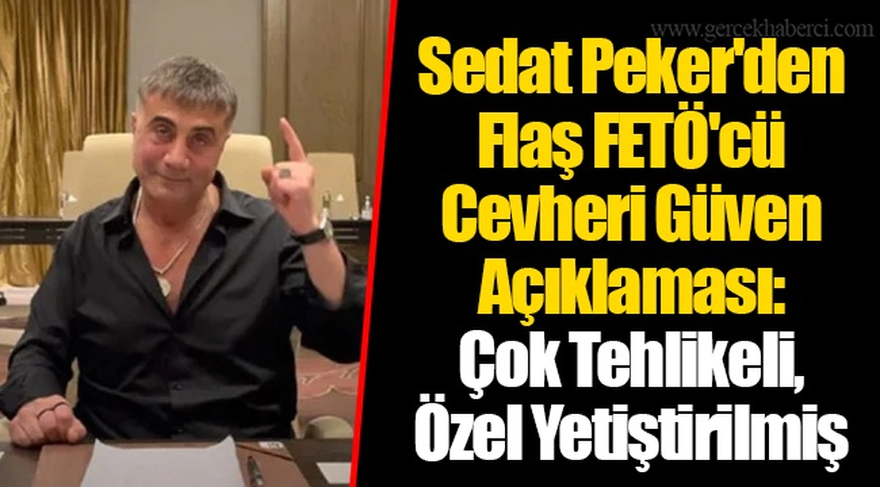 Sedat Peker'den Flaş FETÖ'cü Cevheri Güven Açıklaması: Çok Tehlikeli, Özel Yetiştirilmiş