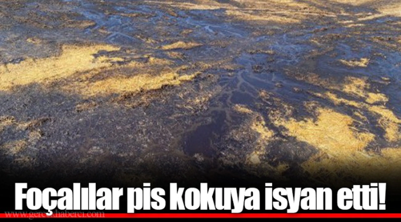 Foçalılar pis kokuya isyan etti!