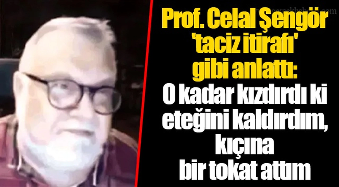 Prof. Celal Şengör 'taciz itirafı' gibi anlattı: O kadar kızdırdı ki eteğini kaldırdım, kıçına bir tokat attım