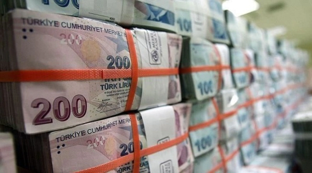 Hazine 8,2 milyar lira borçlandı