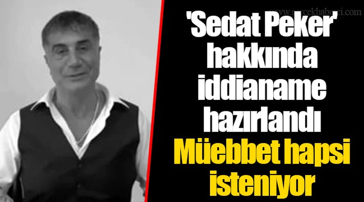 'Sedat Peker' hakkında iddianame hazırlandı...Müebbet hapsi isteniyor