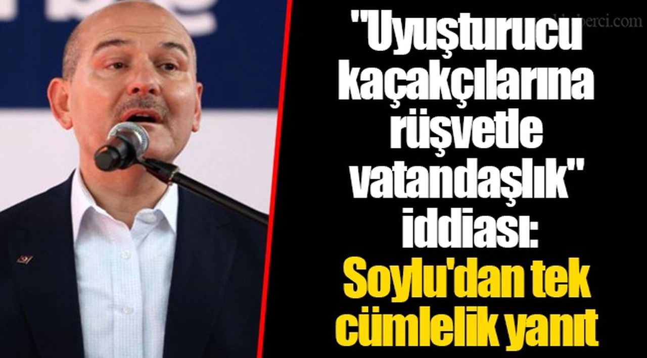 "Uyuşturucu kaçakçılarına rüşvetle vatandaşlık" iddiası: Soylu'dan tek cümlelik yanıt