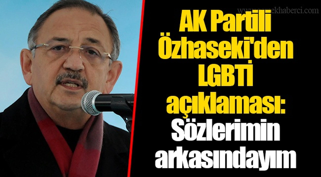 AK Partili Özhaseki'den LGBTİ açıklaması: Sözlerimin arkasındayım
