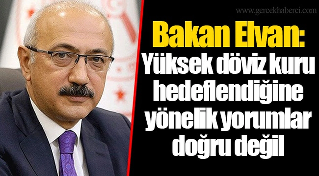 Bakan Elvan: Yüksek döviz kuru hedeflendiğine yönelik yorumlar doğru değil