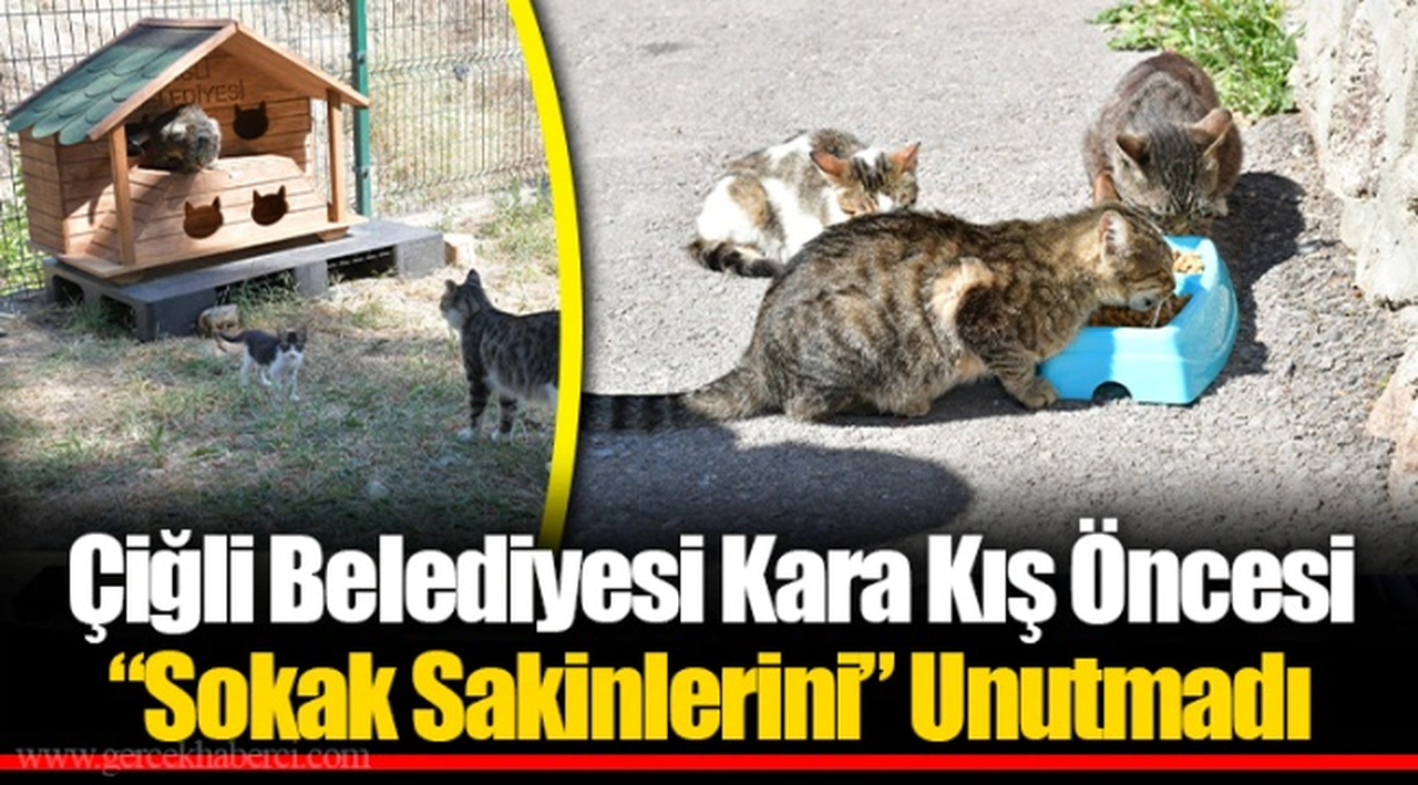 Çiğli Belediyesi Kara Kış Öncesi “Sokak Sakinlerini” Unutmadı