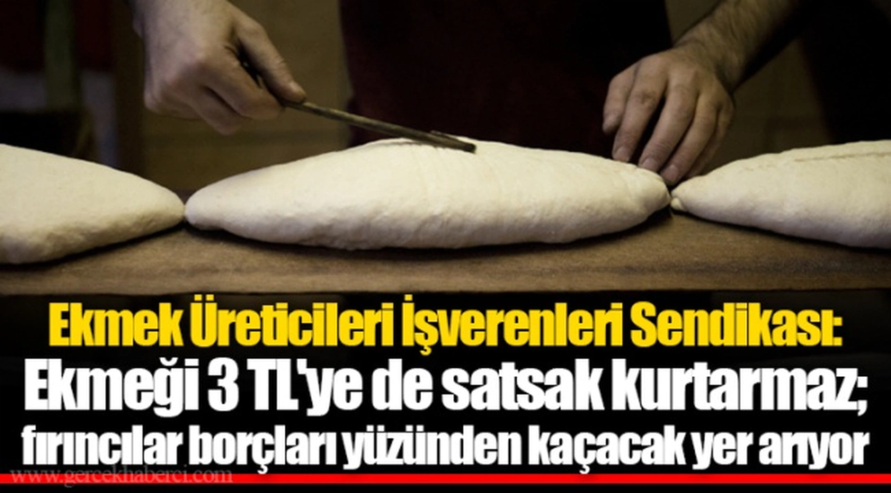 Ekmek Üreticileri İşverenleri Sendikası: Ekmeği 3 TL'ye de satsak kurtarmaz; fırıncılar borçları yüzünden kaçacak yer arıyor