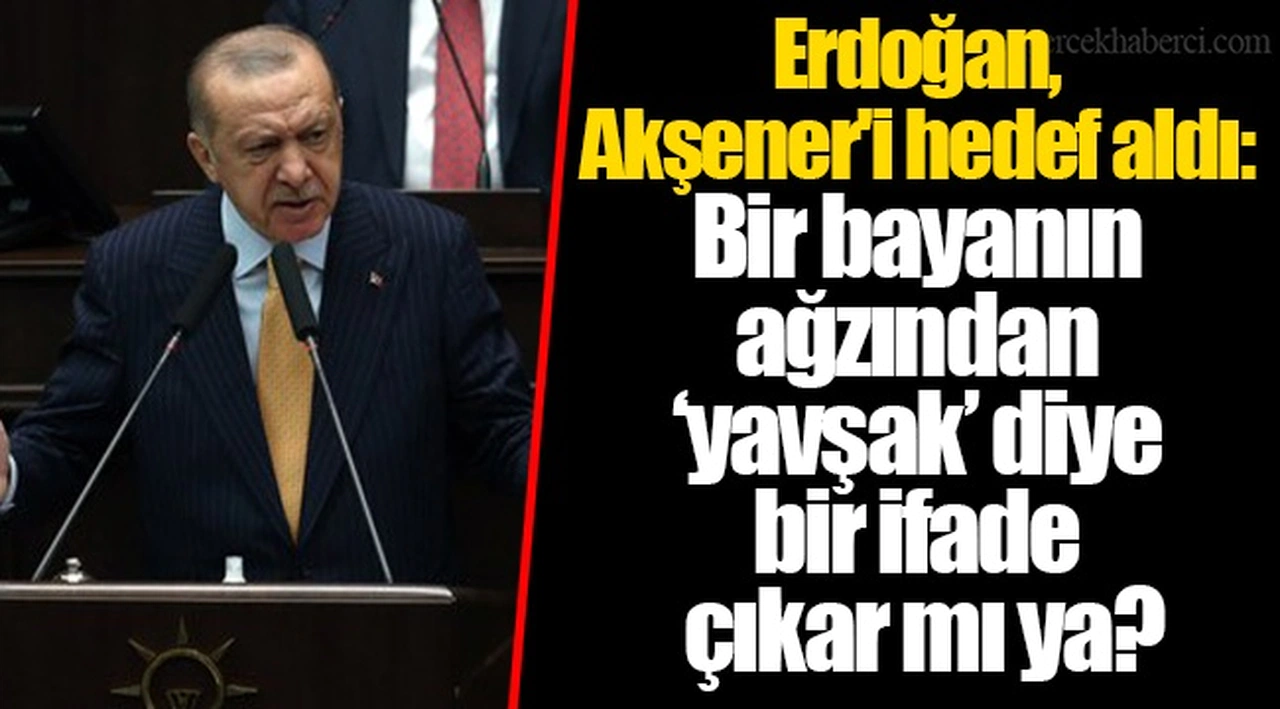 Erdoğan, Akşener'i hedef aldı: Bir bayanın ağzından ‘yavşak’ diye bir ifade çıkar mı ya?