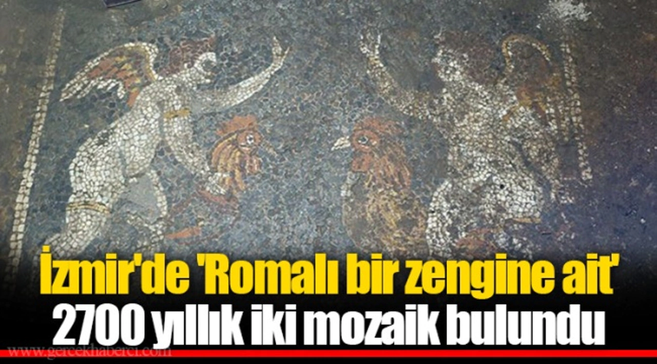 İzmir'de 'Romalı bir zengine ait' 2700 yıllık iki mozaik bulundu