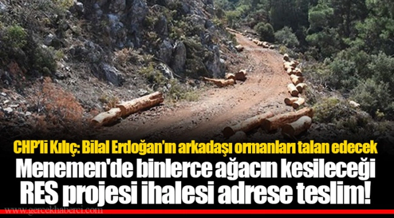 Menemen'de binlerce ağacın kesileceği RES projesi ihalesi adrese teslim!
