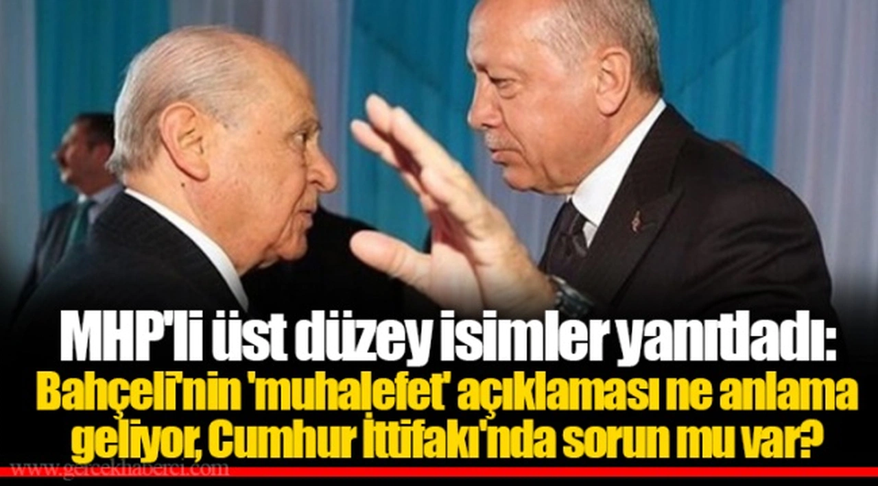 MHP'li üst düzey isimler yanıtladı: Bahçeli'nin 'muhalefet' açıklaması ne anlama geliyor, Cumhur İttifakı'nda sorun mu var?