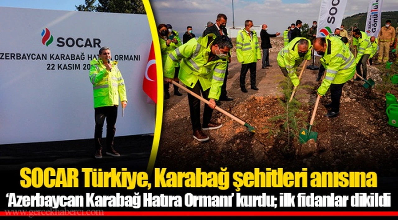 SOCAR Türkiye, Karabağ şehitleri anısına ‘Azerbaycan Karabağ Hatıra Ormanı’ kurdu; ilk fidanlar dikildi