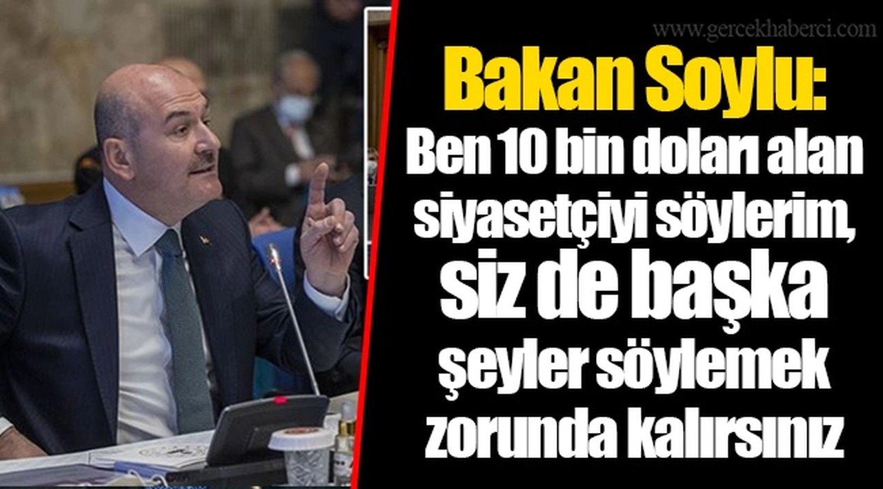Soylu: Ben 10 bin doları alan siyasetçiyi söylerim, siz de başka şeyler söylemek zorunda kalırsınız