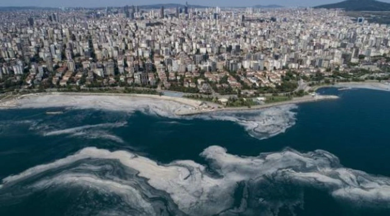 Tarım ve Orman Bakanı Pakdemirli: Marmara Denizi’ne midyelerle bir nevi biyolojik su arıtma tesisi kuruyoruz