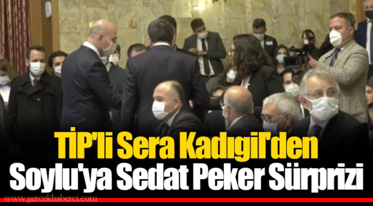 TİP'li Sera Kadıgil'den Soylu'ya Sedat Peker Sürprizi