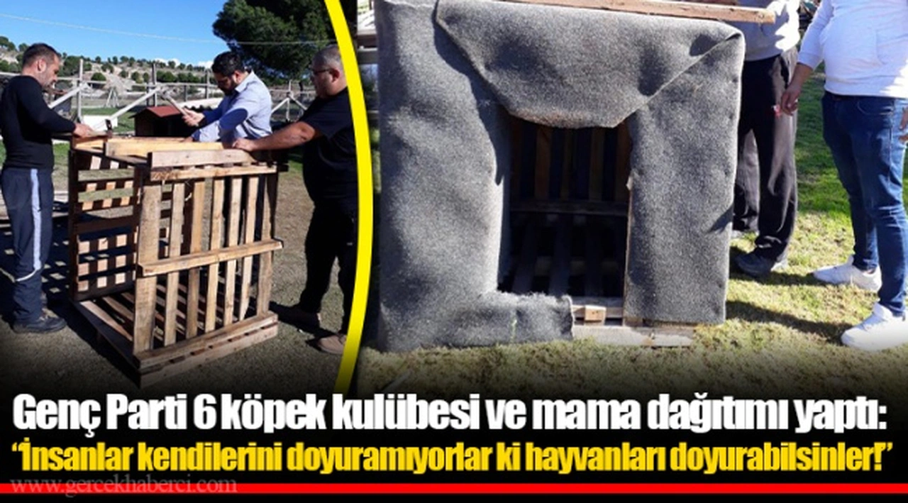 Genç Parti 6 köpek kulübesi ve mama dağıtımı yaptı:  “İnsanlar kendilerini doyuramıyorlar ki hayvanları doyurabilsinler!”