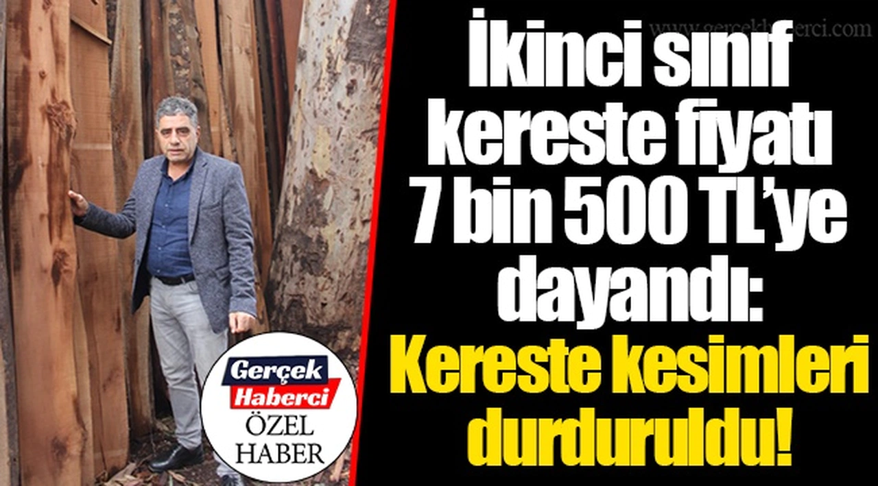 İkinci sınıf kereste fiyatı 7 bin 500 TL'ye dayandı: Kereste kesimleri durduruldu!