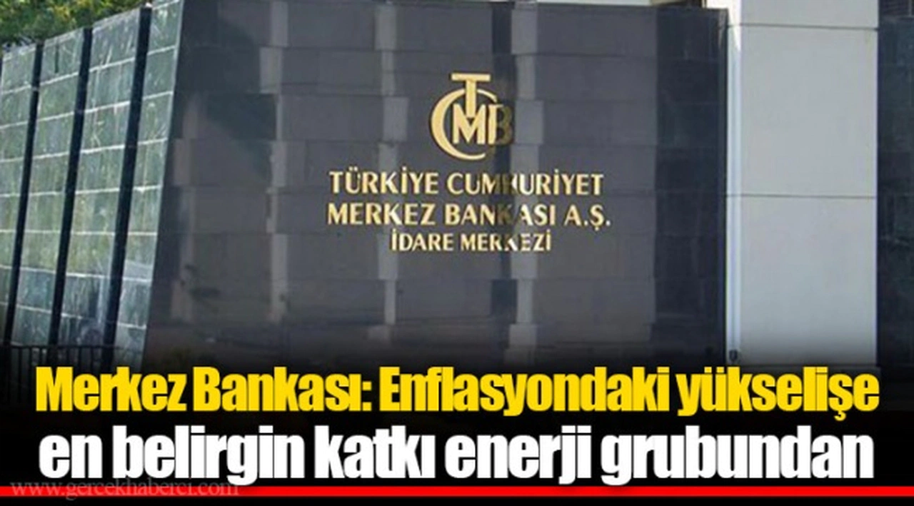 Merkez Bankası: Enflasyondaki yükselişe en belirgin katkı enerji grubundan