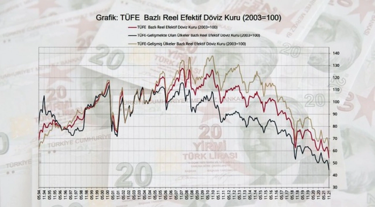 Merkez Bankası raporu: TL'nin değeri tüm zamanların en düşük seviyesinde