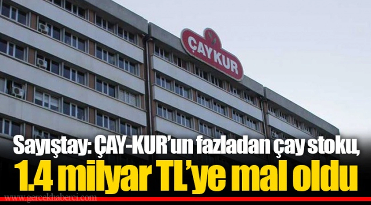 Sayıştay: ÇAY-KUR’un fazladan çay stoku, 1.4 milyar TL’ye mal oldu