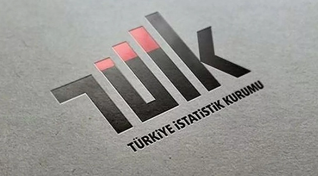 'TÜİK bu ay yeni bir fiyat derleme uygulamasına geçti'