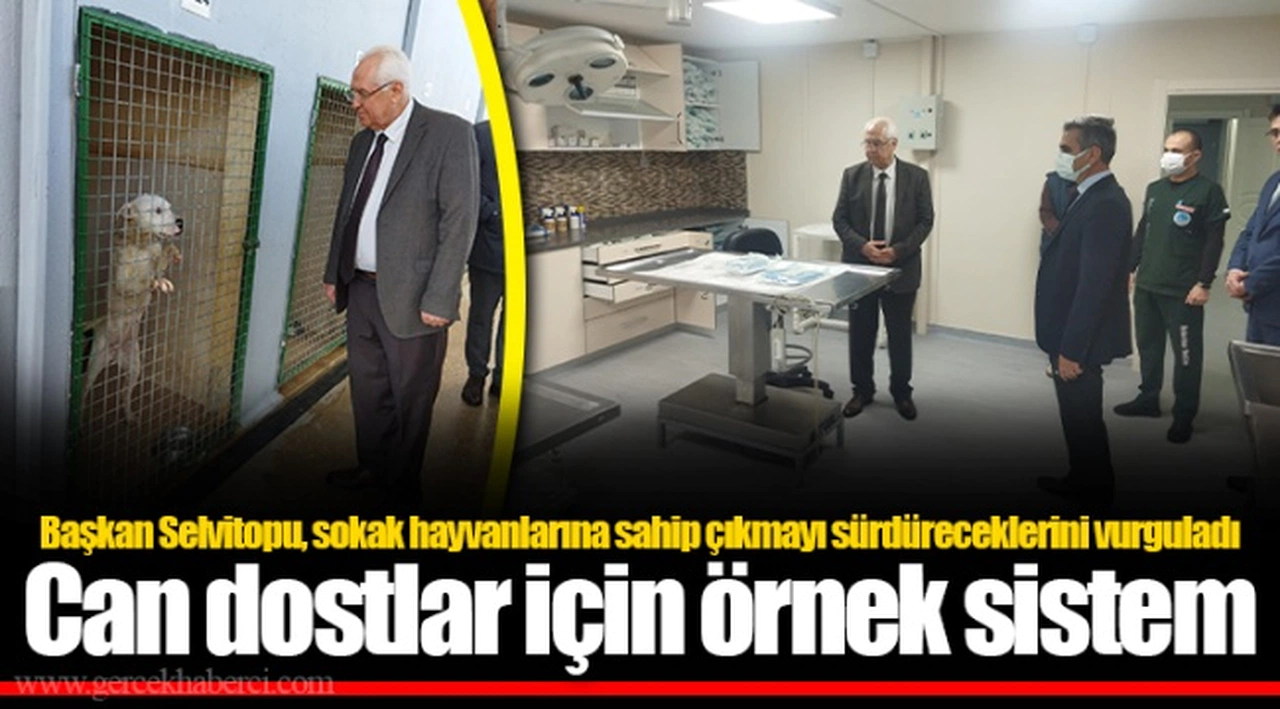 Can dostlar için örnek sistem