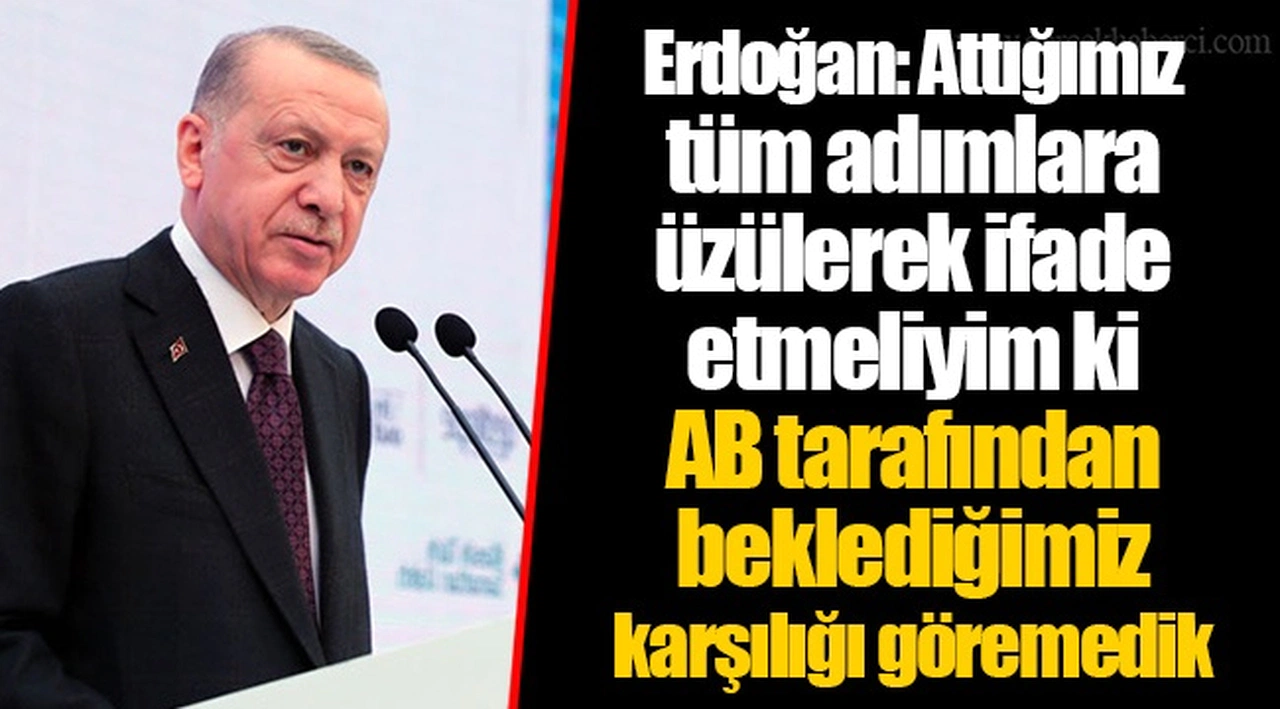 Erdoğan: Attığımız tüm adımlara üzülerek ifade etmeliyim ki AB tarafından beklediğimiz karşılığı göremedik