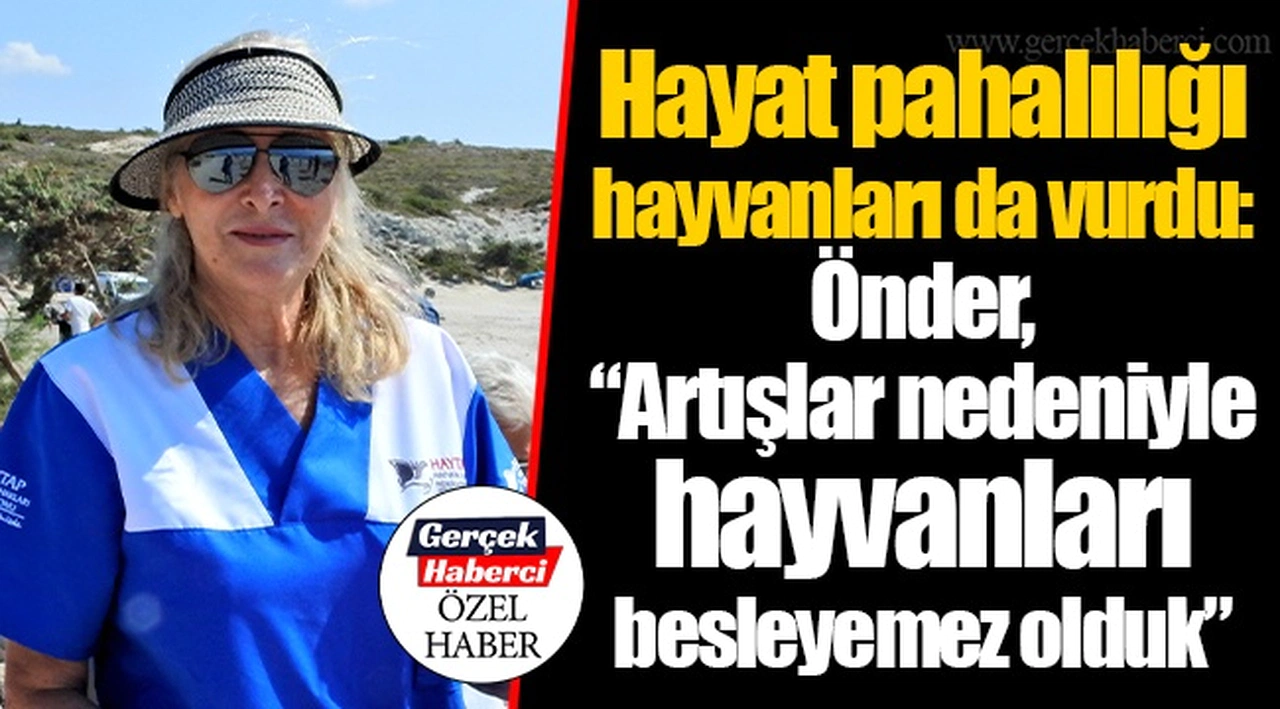 Hayat pahalılığı hayvanları da vurdu: Önder, “Artışlar nedeniyle hayvanları besleyemez olduk”